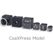CoaXPress Model