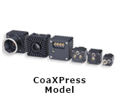 CoaXPress Model