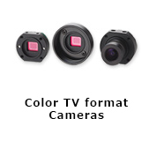 Color TV Format Small Area Camera