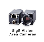 GigE Vision Cameras