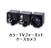 カラーTVフォーマットケースカメラ