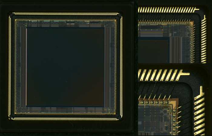 マクロレンズによるテスト撮像した画像